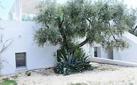 Hmo Glamping & Suites In Vignanotica