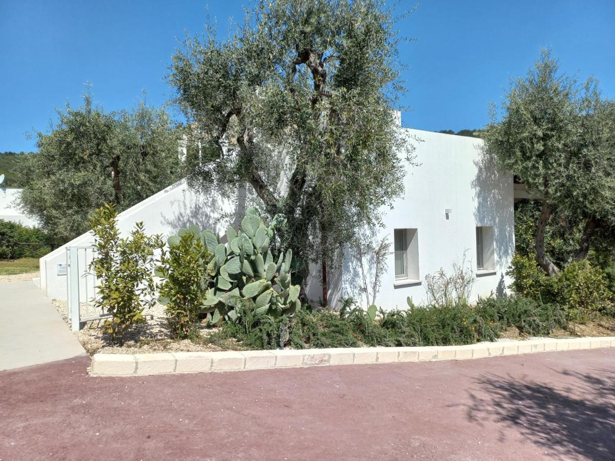 Hmo Glamping & Suites In Vignanotica Mattinata Esterno foto