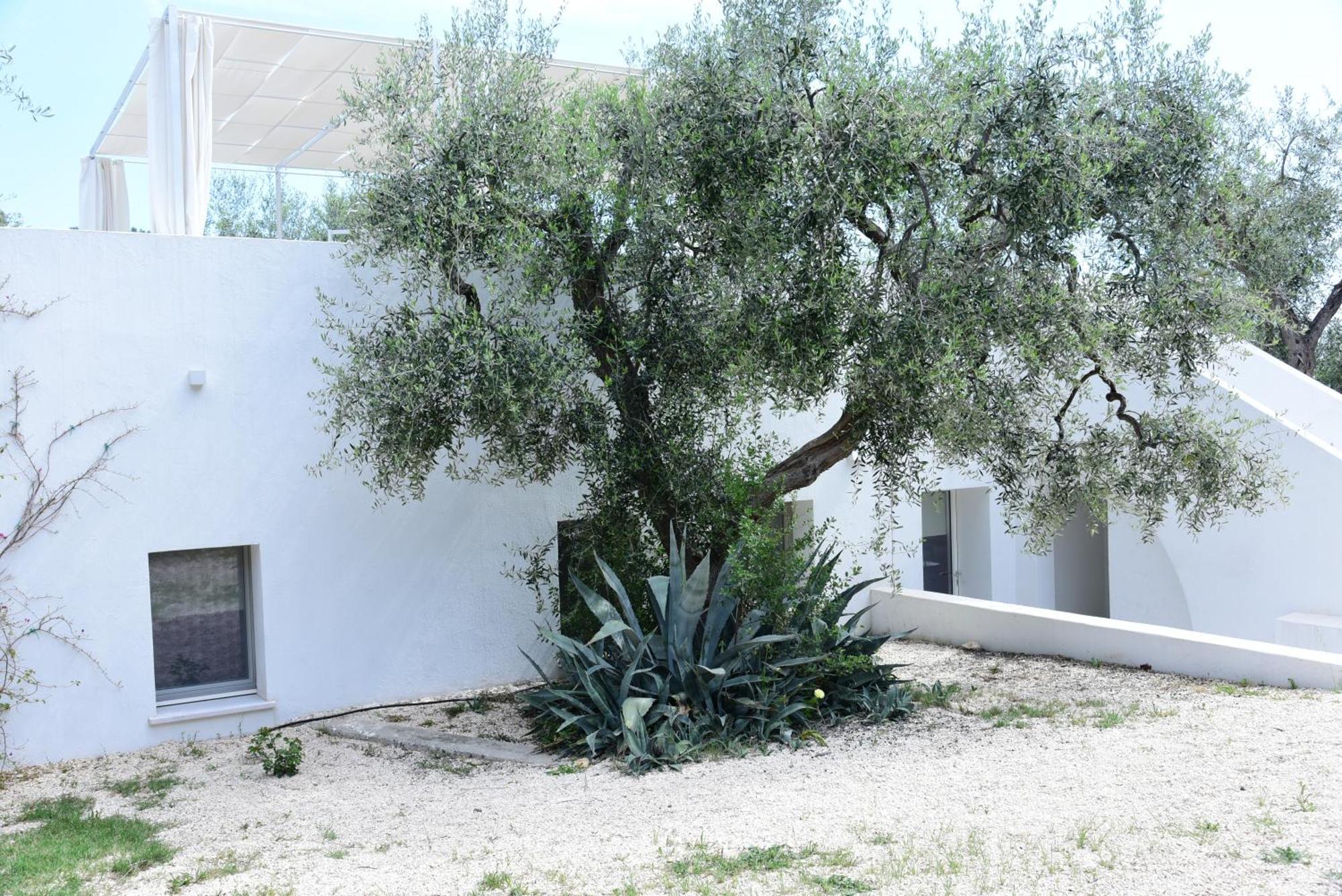 Hmo Glamping & Suites In Vignanotica Mattinata Camera foto