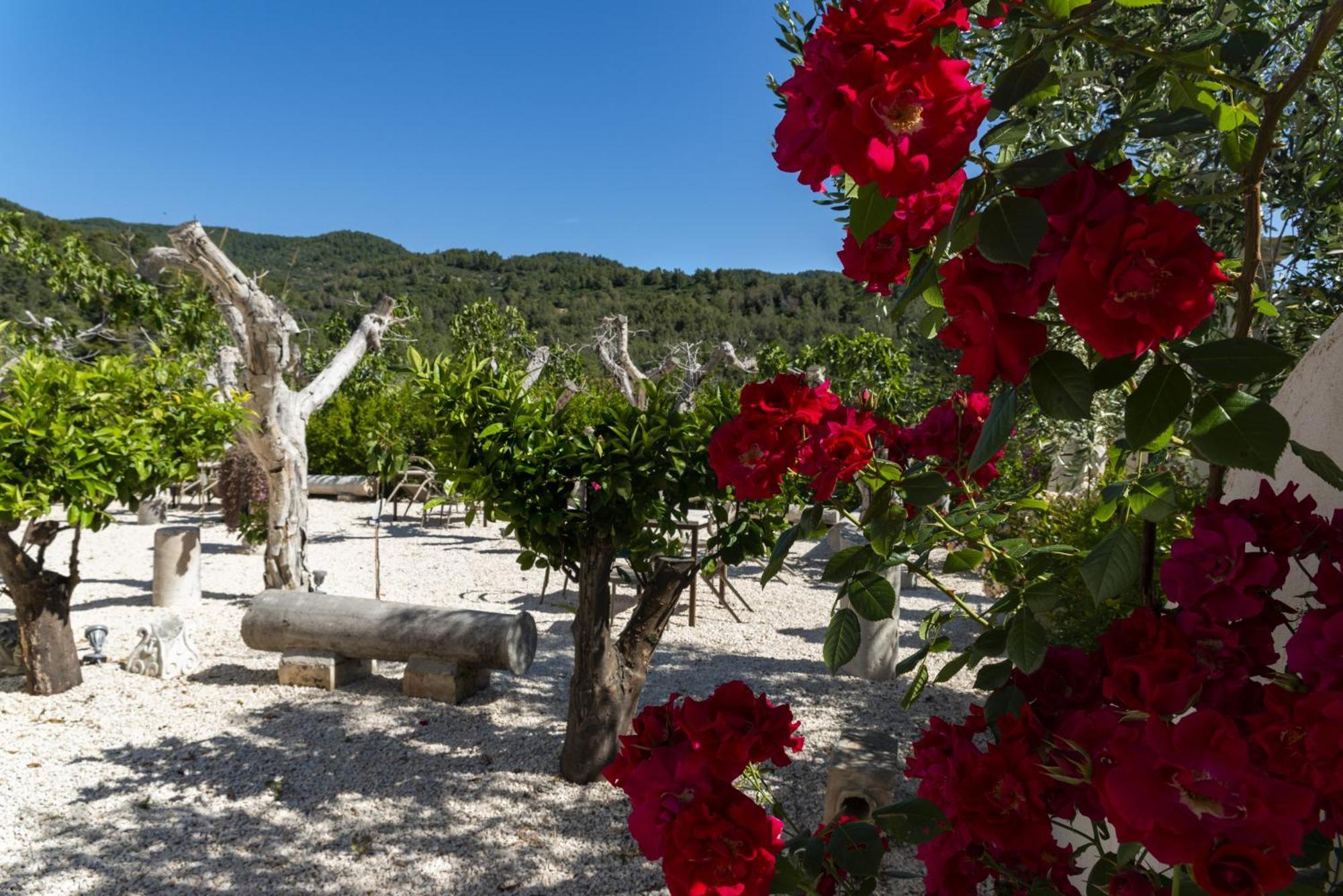 Hmo Glamping & Suites In Vignanotica Mattinata Esterno foto