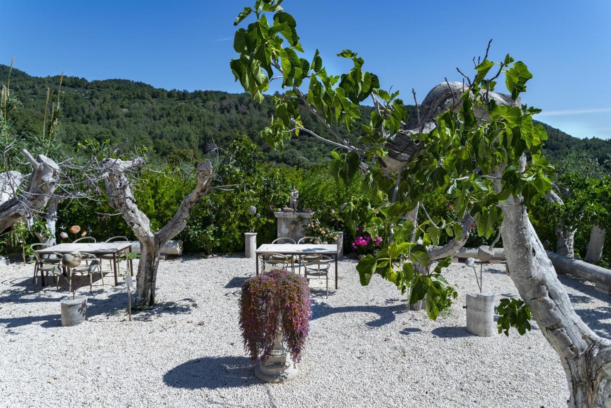 Hmo Glamping & Suites In Vignanotica Mattinata Esterno foto